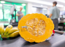 Mercadona prevé comprar 400 toneladas de calabaza de asar cultivada en Valencia calabaza de asar en Mercadona