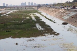 Vista del cauce del río Turia con vegetación y tráfico cercano