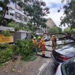 Bomberos trabajando en la limpieza de ramas caídas tras la DANA en Alboraia