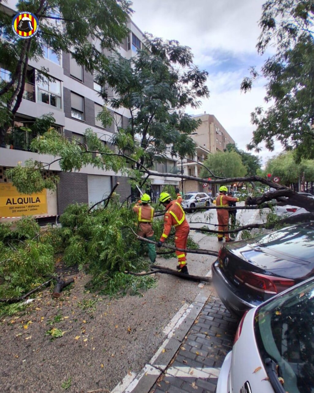 Bomberos trabajando en la limpieza de ramas caídas tras la DANA en Alboraia