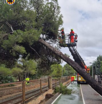 Bomberos trabajando en la caída de un árbol tras la DANA en Paterna