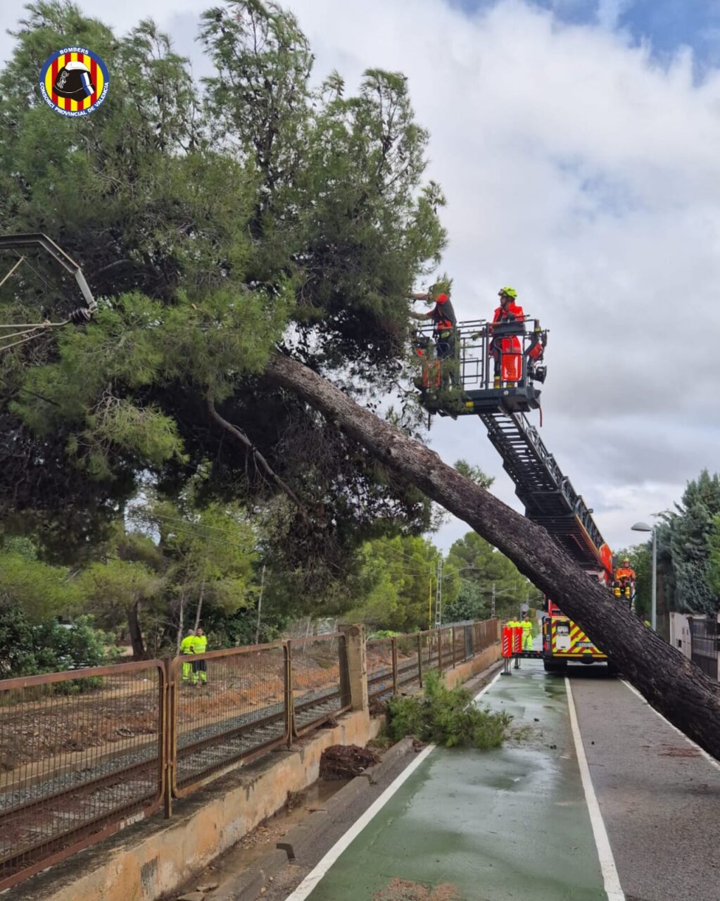 Bomberos trabajando en la caída de un árbol tras la DANA en Paterna