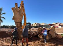 Trabajadores replantando un árbol en Catarroja tras la DANA