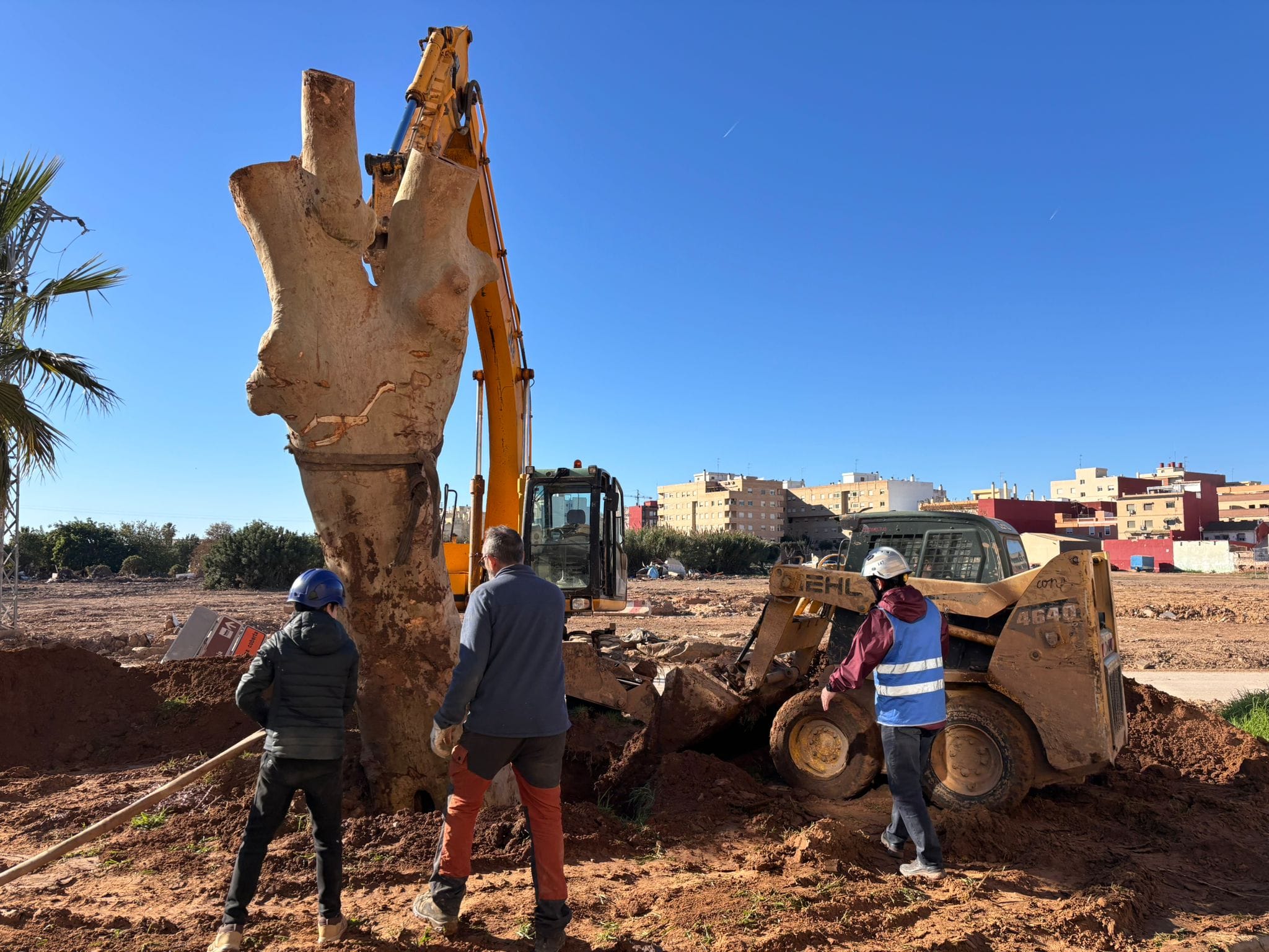 Trabajadores replantando un árbol en Catarroja tras la DANA