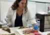Recuperación de 192 abanicos dañados en el Museu del Palmito de Aldaia tras la DANA