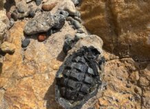 Hallada una granada de mano, aún potencialmente letal, de la Guerra Civil en la playa norte de La Pobla de Farnals Granada de mano encontrada en la playa de La Pobla de Farnals