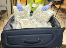 Detenido un hombre por transportar casi 18 kilos de marihuana en el aeropuerto de Manises Agente de la Guardia Civil revisando maleta con marihuana