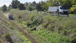 Trabajos de limpieza en el barranco del Palmaret en Valencia