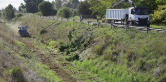 Trabajos de limpieza en el barranco del Palmaret en Valencia
