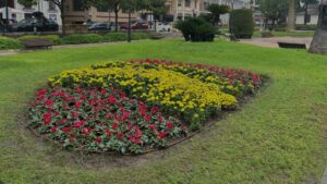 Jardín decorado con flores rojas y amarillas en València