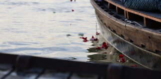 Ofrenda floral en l'Albufera durante un homenaje en Catarroja