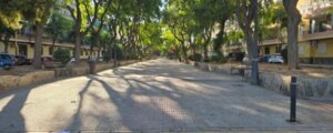 Paseo arbolado en Alfafar con sombras en el suelo