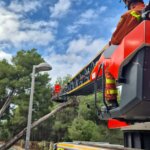 Bomberos trabajando en la remoción de un árbol caído en Paterna