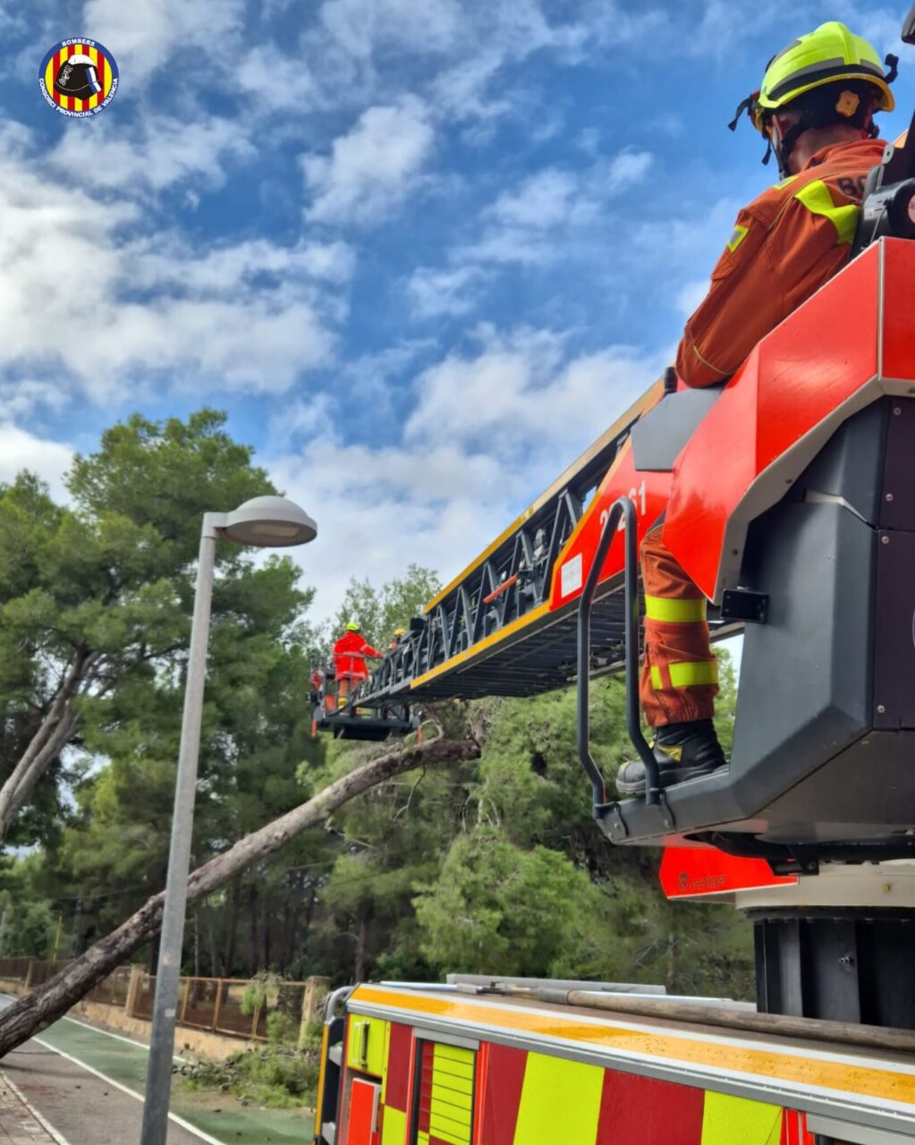 Bomberos trabajando en la remoción de un árbol caído en Paterna