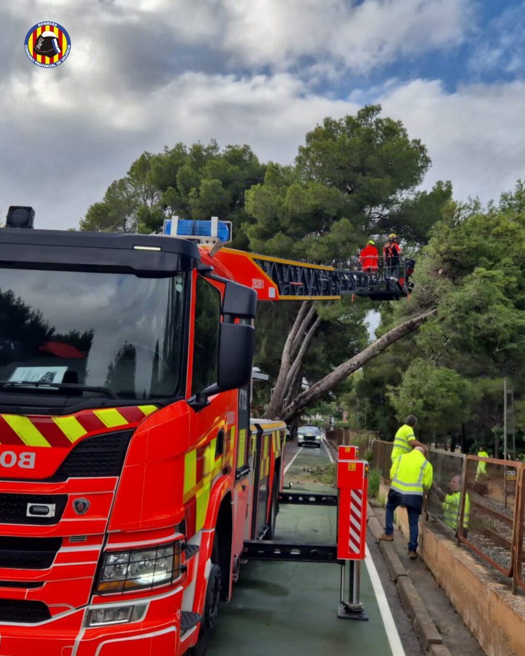 Bomberos trabajando en la retirada de un árbol caído en Paterna