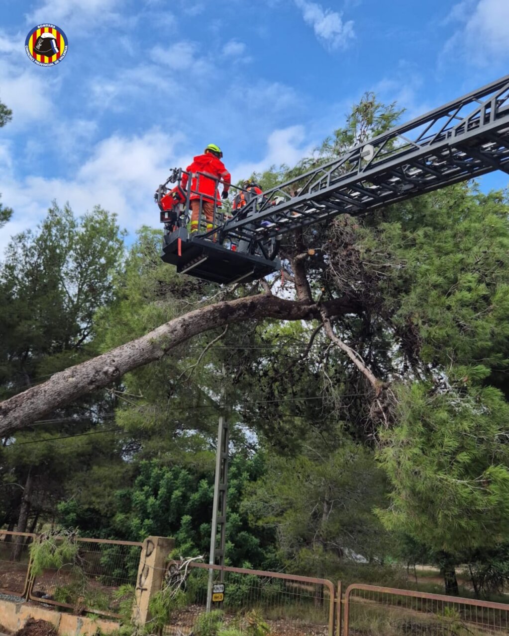 Bomberos trabajando en un árbol caído tras la DANA Alice en Paterna