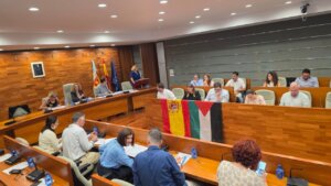 pleno Torrent bandera Palestina