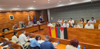 pleno Torrent bandera Palestina