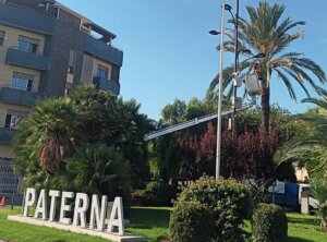 servicio de retirada de frutos en las calles de Paterna