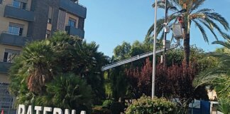 servicio de retirada de frutos en las calles de Paterna