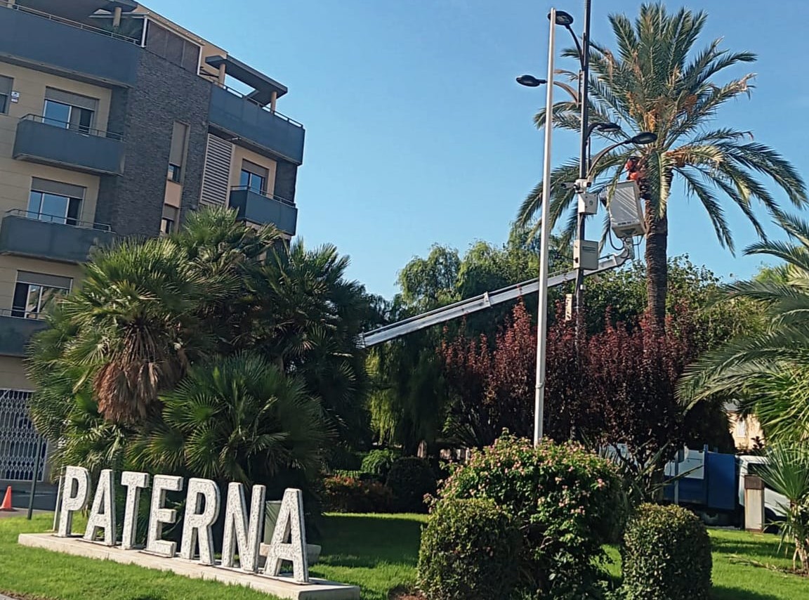 servicio de retirada de frutos en las calles de Paterna