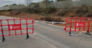 DANA Alice en Torrent