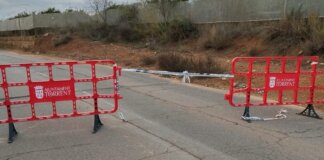 DANA Alice en Torrent