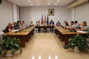 pleno ayuntamiento Xirivella