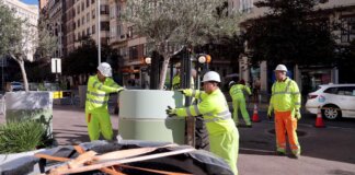 Trabajadores colocando nuevos maceteros en la plaza del Ayuntamiento de Valencia