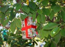 144 alumnos de 4 colegios de Torrent decoran los ficus con adornos navideños elaborados por ellos mismos Los alumnos de Torrent decoran un ficus con adornos navideños hechos a mano.