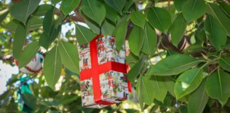 Los alumnos de Torrent decoran un ficus con adornos navideños hechos a mano.