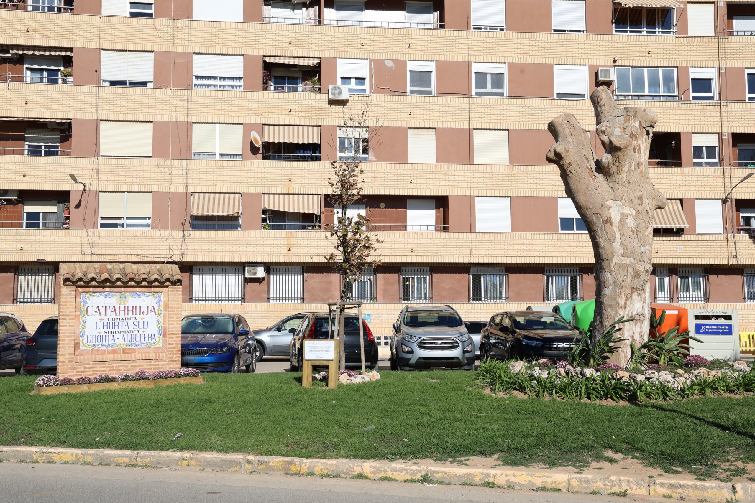 Catarroja árbol simbolo de la DANA