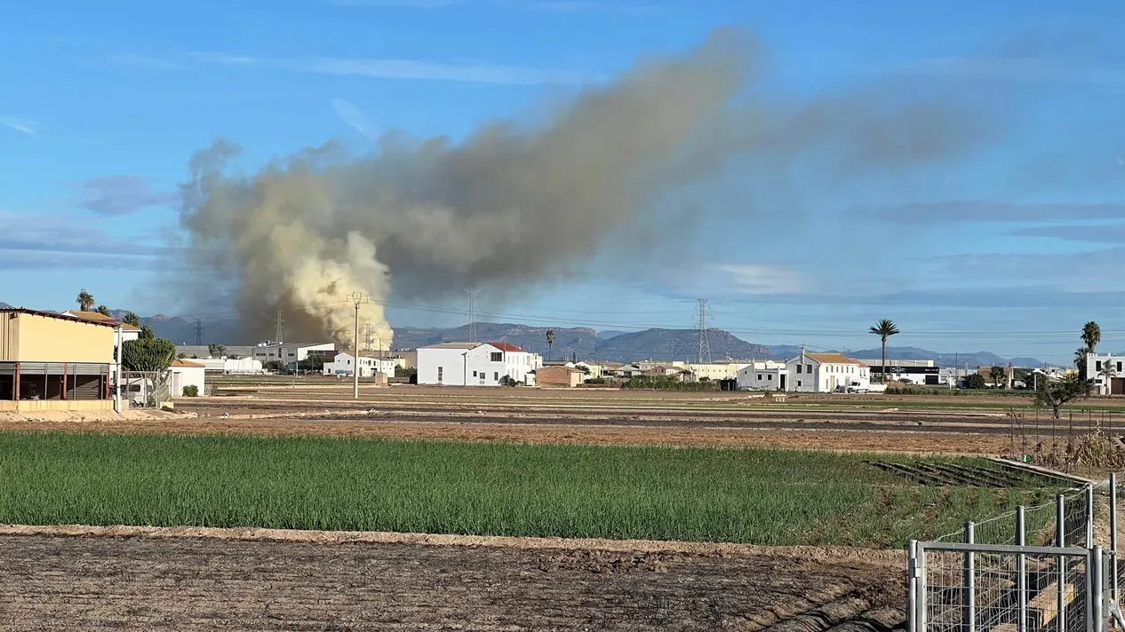 Columna de humo generada por un incendio en Alboraya