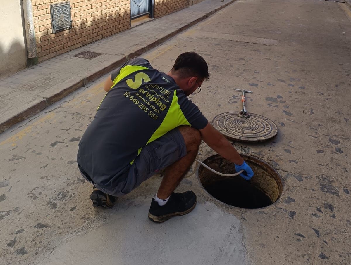 El Ayuntamiento de Alfafar intensifica el control de plagas en los barrios.