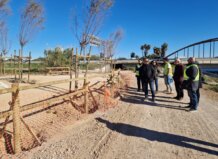 Finaliza la restauración paisajística en el entorno de la ermita dels Peixets en Alboraia Visita a la restauración paisajística en el entorno de los Peixets en Alboraia
