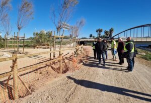 Visita a la restauración paisajística en el entorno de los Peixets en Alboraia