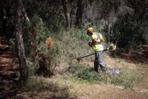 Trabajador realizando mantenimiento en zona forestal de Torrent
