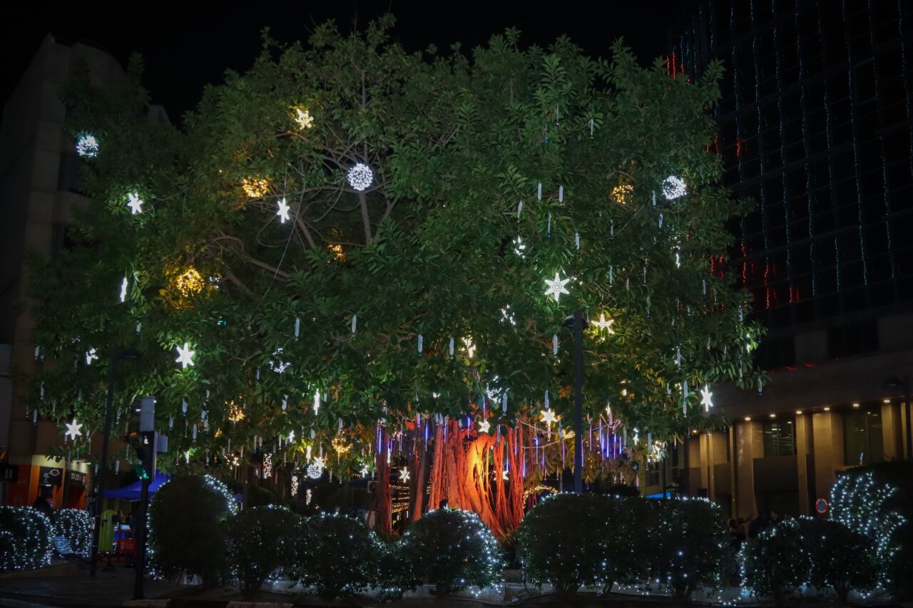 navidad torrent navidad torrent