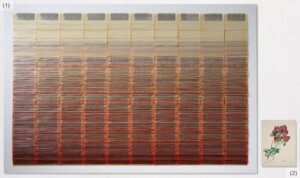 premi Senyera d’Arts Visuals 2025