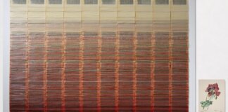 premi Senyera d’Arts Visuals 2025