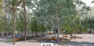 Vista de la plaza del Ayuntamiento con árboles y bancos