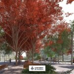 Vista de la reurbanización de la plaza del Ayuntamiento en Valencia con árboles rojos.
