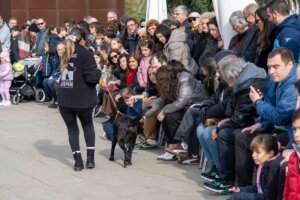 Cientos de personas observan un desfile de perros en Bioparc Valencia.