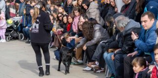 Cientos de personas observan un desfile de perros en Bioparc Valencia.