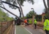 Restablecida la circulación de la Línea 2 de Metrovalencia tras la caída de un árbol por el viento Operarios retirando un árbol caído sobre la vía del metro en Valencia
