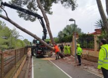 Restablecida la circulación de la Línea 2 de Metrovalencia tras la caída de un árbol por el viento Operarios retirando un árbol caído sobre la vía del metro en Valencia