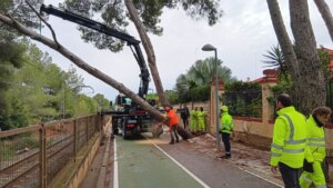 Operarios retirando un árbol caído sobre la vía del metro en Valencia