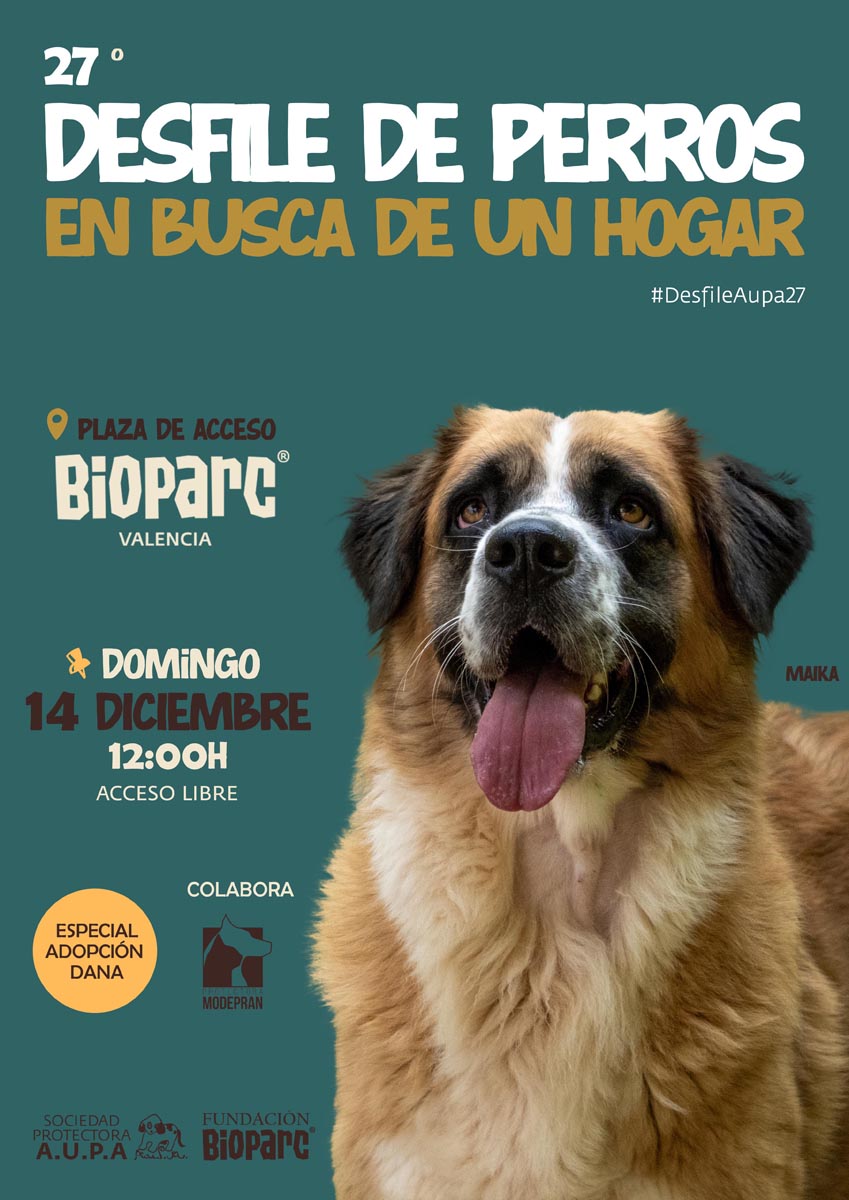 Cartel del 27º Desfile de perros en busca de un hogar en Bioparc Valencia