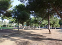 Catarroja canvia de nom dos espais públics en homenatge a la solidaritat dels voluntaris de la dana Parque en Catarroja con árboles y área de juegos infantiles