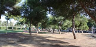 Vista del Parc de la Solidaritat en Catarroja con árboles y áreas de juego